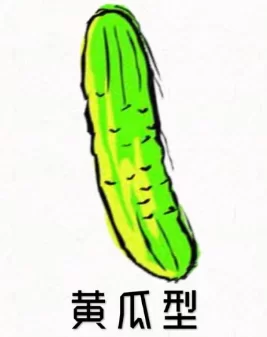 黄瓜.png